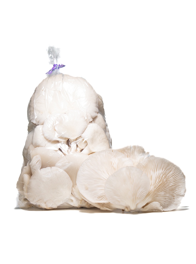 bolsa de champiñon orellana  1k