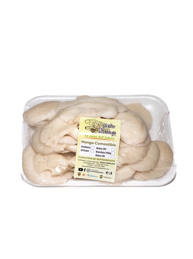 [2] bandeja champiñon orellana 250 g
